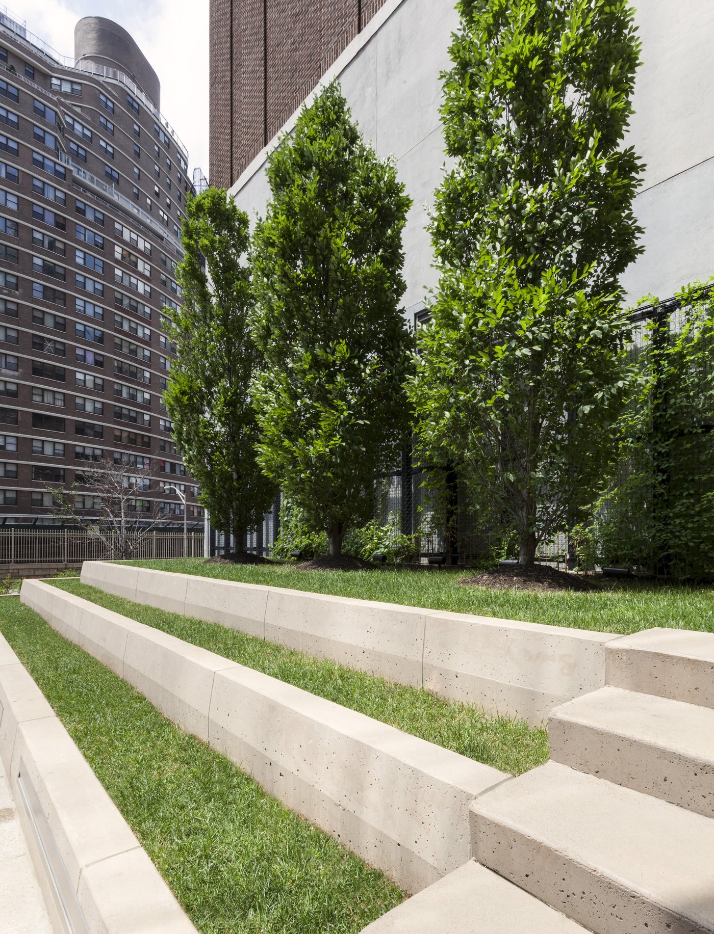 New York University Langone Medical Center Jobs - j162ob5